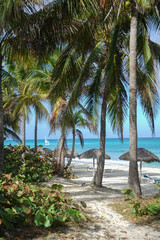 Fototapeta na wymiar Paisaje de playa del caribe