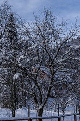 Fototapeta na wymiar Zima w Bieszczadach 