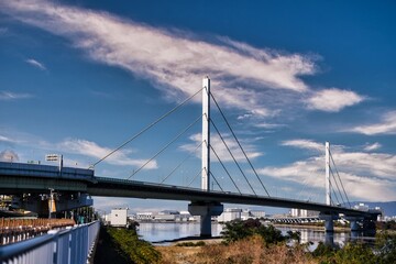 晩秋の大和川