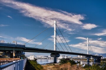 Fototapeta na wymiar 阪神高速堺線