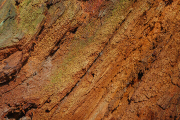 Surface, texture of old wood.