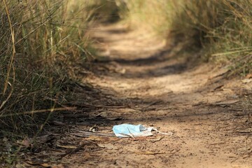 Discarded blue and white disposable face mask in suburban parklands