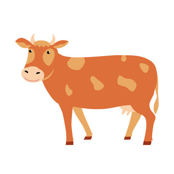 Cow. Illustration isolated on white background.
