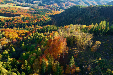 Aerial view of mountains covered with autumn forest