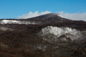 snow covered mountains and trees