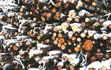 abstract background of sawn logs. Snow on a stack of wood.A warehouse of wooden logs under the...