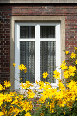 Fenster mit Blumen, Deutschland