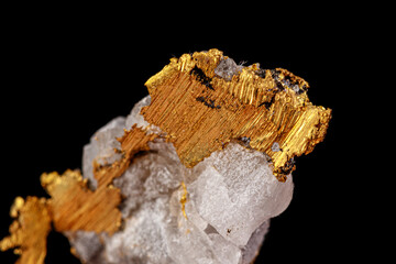 macro mineral stone gold in the rock on a black background