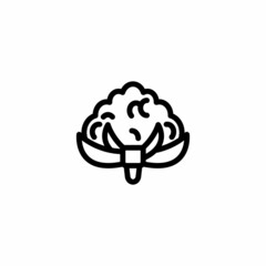 Cauliflower icon in vector. Logotype;