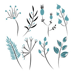 Vector set of isolated elements from twigs with leaves and berries.Black outline on white background for design template,greeting cards,websites.