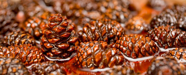 Young pine cones jam. Useful and tasty dessert. Traditional Siberian dessert - young pine cones jam. Glass ramekin of jam made from pine cones on a white background.