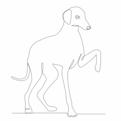 dog, drawing by one continuous line, sketch