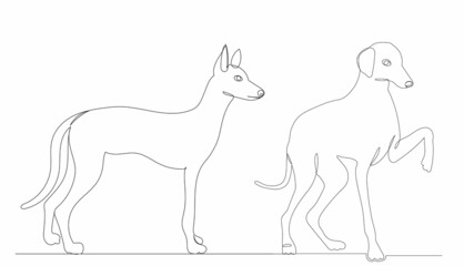 Fototapeta na wymiar dogs, drawing by one continuous line, sketch, vector