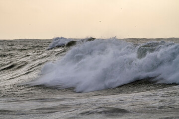 Winter breking wave at sunset