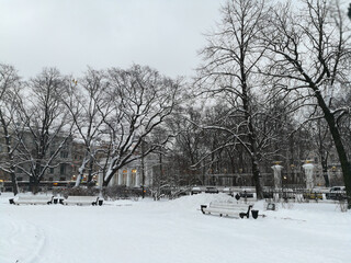 a bench in the Catherine garden