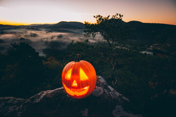 Halloween Kürbis im Nebel am Morgen