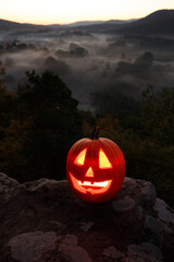 Halloween Kürbis im Nebel am Morgen