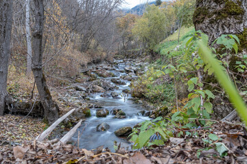 Landscape of a river in the Pyrenees in the valley of Aran Lleida Catalonia Spain