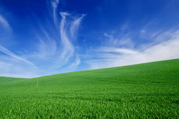 Abstract natural background