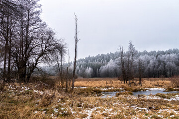 Zimowy dzień ze szronem na Podlasiu, Polska
