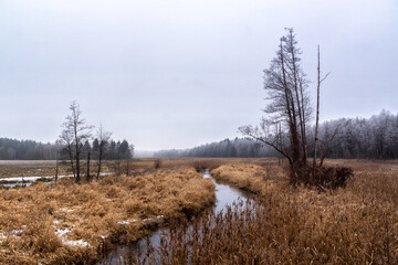 Zimowy dzień ze szronem na Podlasiu, Polska
