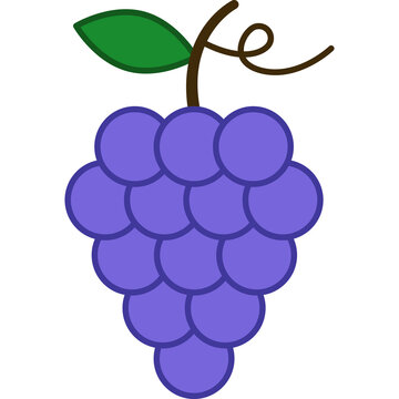 Grape Filled Outline Icon Fruit Vector