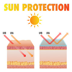 Sun skin protection. Damaged human skin peels before and after sun protection body adipose layers epidermis