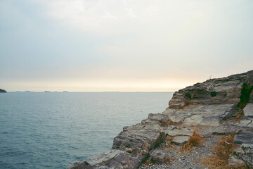 Sea view with sunlight dry grass on the gray rocks in sea with calm wales, colorful image.