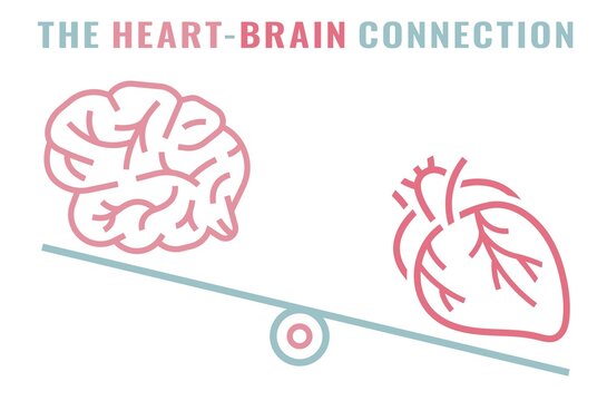 Heart-brain connection. Health of the heart and mind are intertwined.