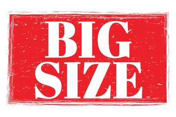 Fototapeta premium BIG SIZE, words on red grungy stamp sign