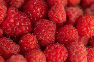Ripe red raspberries on a plate.