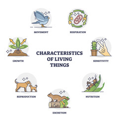 Characteristics of living things or their recognition groups outline diagram. Labeled educational division categories by respiration, sensitivity, excretion, reproduction or growth vector illustration - obrazy, fototapety, plakaty
