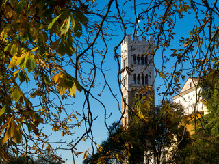 Italia, Toscana, la città di Lucca. La Cattedrale di San Martino.