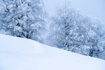 Schneelandschaft Schweiz (sehr kalt)