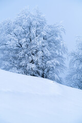 Schneelandschaft Schweiz (sehr kalt)