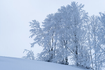 Schneelandschaft Schweiz (sehr kalt)