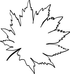 Maple leaf hand drawn sketch line icon