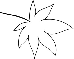 Maple leaf hand drawn sketch line icon