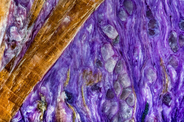 Charoite and Tinaksite