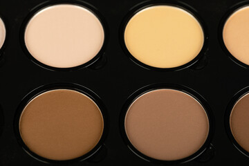 Close up face contour palette