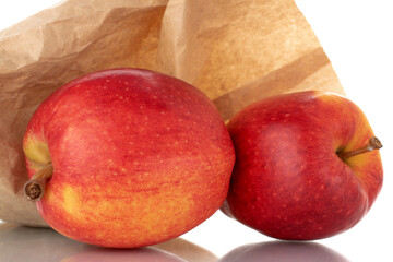 Two organic red apples with a paper bag, close-up, isolated on white.