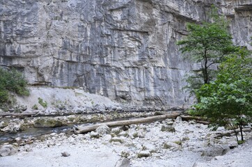 wall