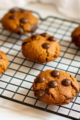 Chocolate Cookie
