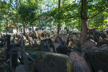 View of the Old Jewish Cemetery and it's many gravestones -Prague, Czech Republic