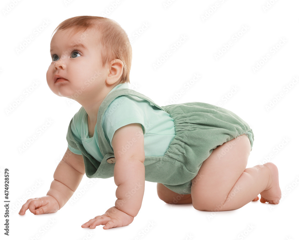 Canvas Prints Cute little baby crawling on white background