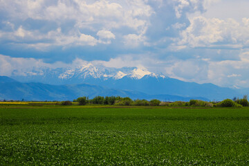 Fototapeta premium View of a green field, in the background a mountain and large dark clouds.