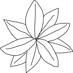 Tree plan hand drawn sketch icon top