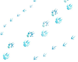 Illustration trace of animal paws of fox and pheasant in the snow painting blue white background observation vacation in the snow winter footprint