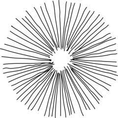 Tree plan hand drawn sketch icon top