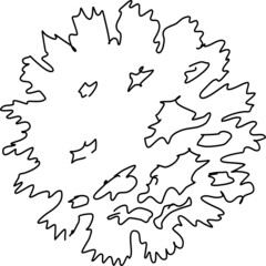 Tree plan hand drawn sketch icon top